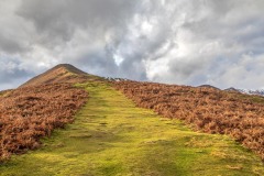 Barrow walk