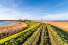 Barton Waterside walk, clay pits