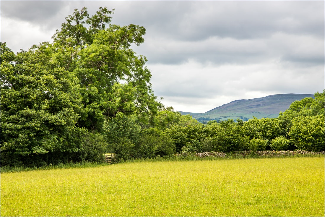 Bassenthwaite walk Bassenthwaite walk
