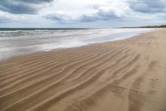 Beadnell to Craster walk