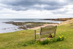Beadnell, bench