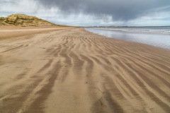 Beadnell to Craster walk, beach