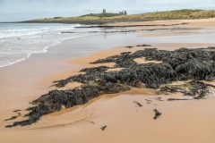 Dunstanburgh Castle