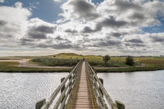 Beadnell walk