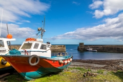 Craster Harbour