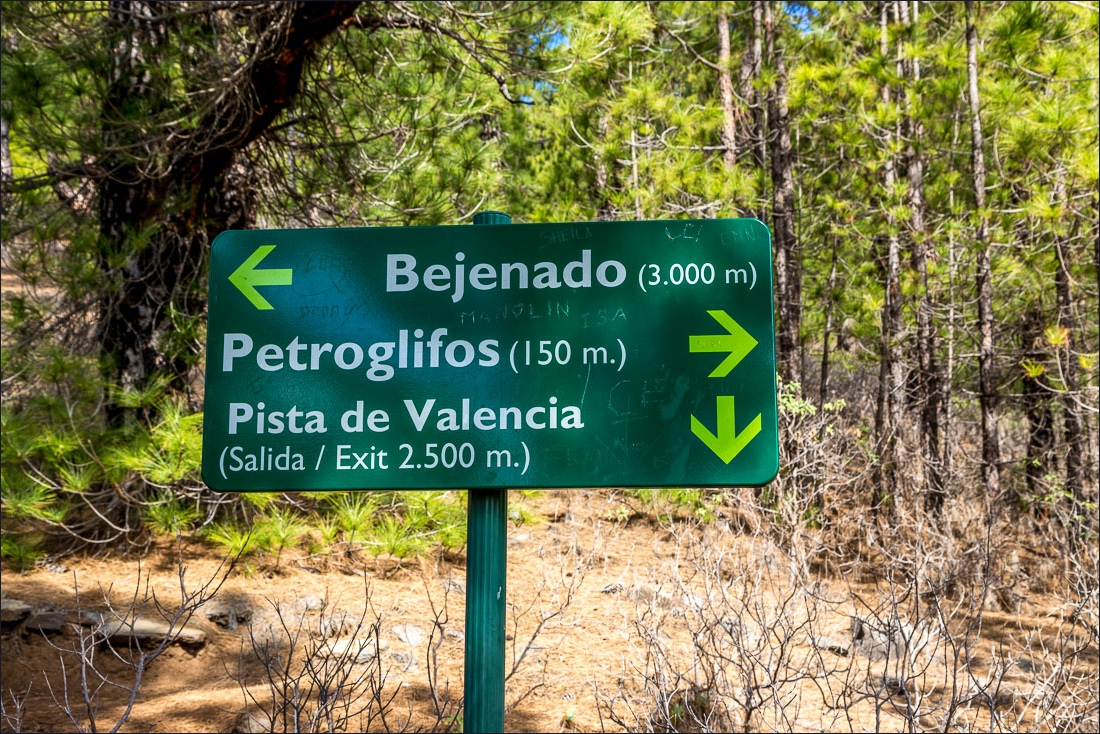 Pico Bejenado walk, La Palma, petroglyph