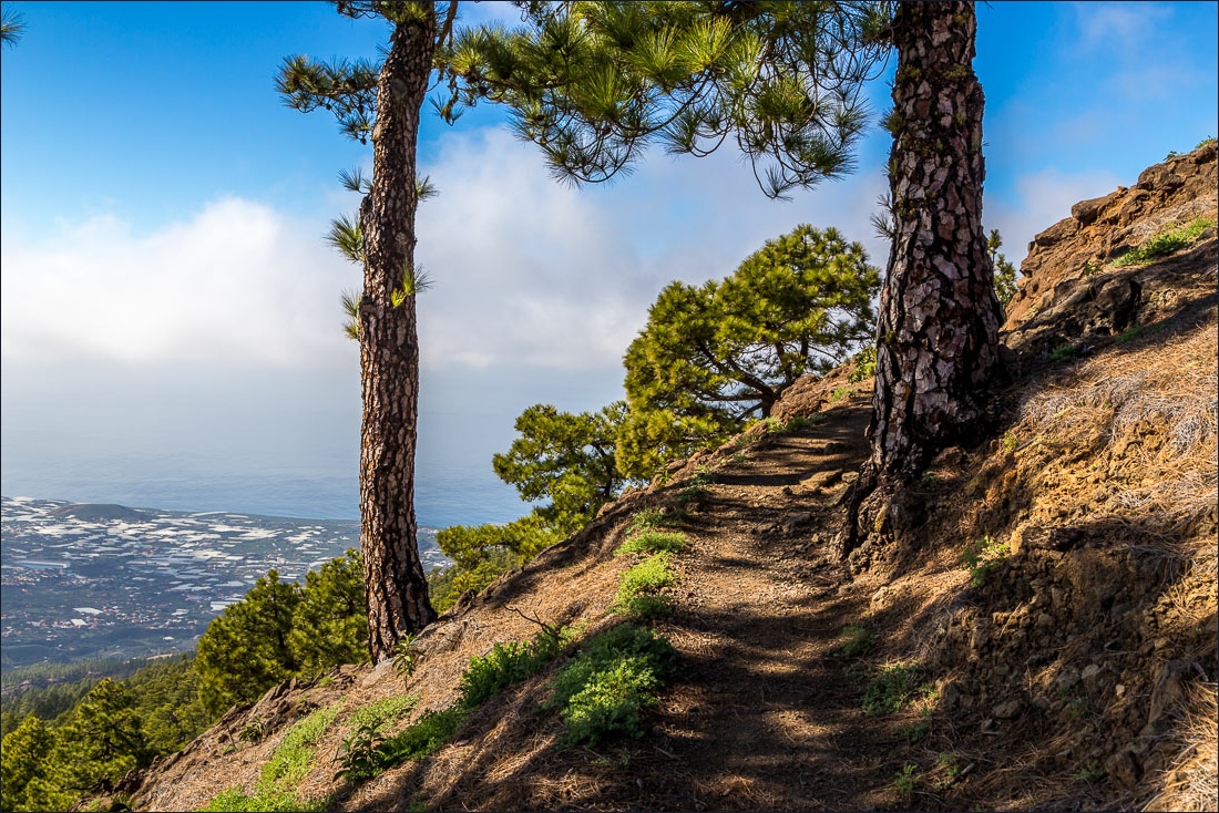 Pico Bejenado walk, La Palma