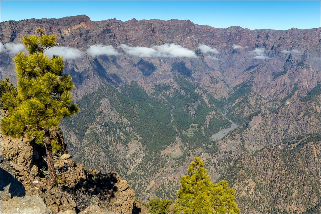 Pico Bejenado walk, La Palma, CAldera