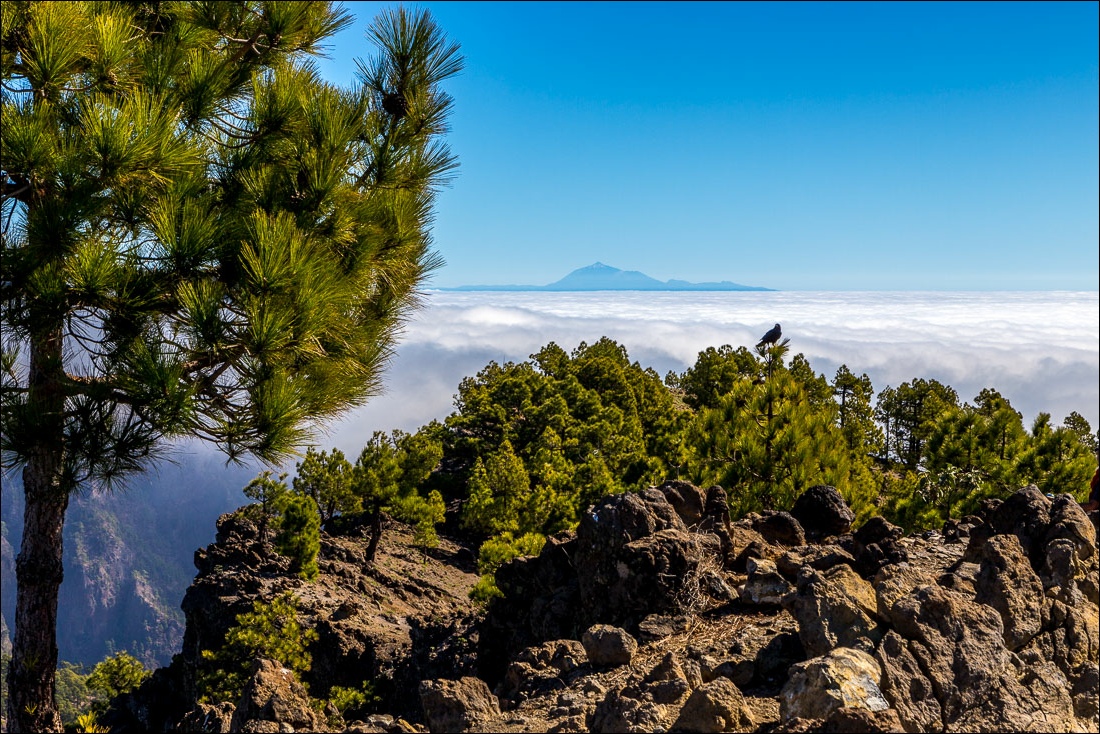 Pico Bejenado view, La Palma