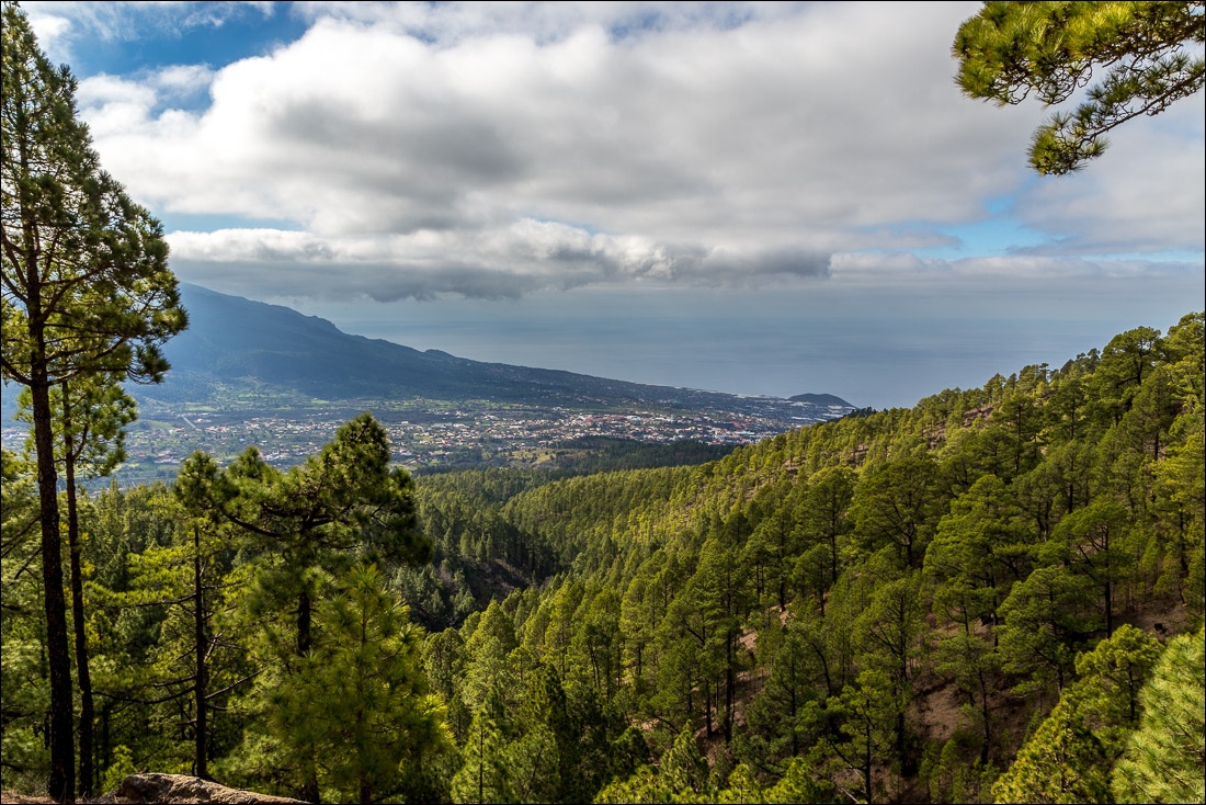 Pico Bejenado walk, La Palma