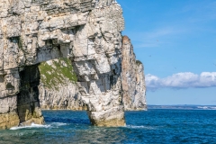 Yorkshire Belle,Scale Nab, gannet