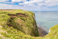 Bempton Cliffs walk