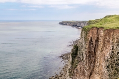 Bempton Cliffs