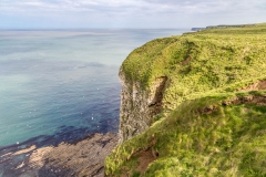 Bempton Cliffs
