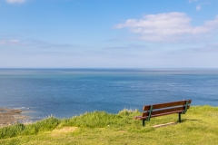 Bempton Cliffs bench