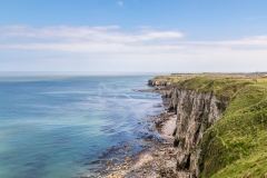 Bempton Cliffs