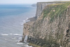 Bempton Cliffs, Scale Nab