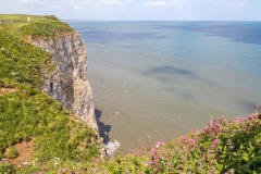 Bempton Cliffs