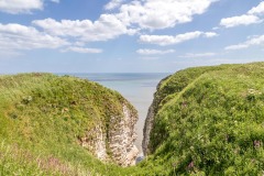 Bempton Cliffs