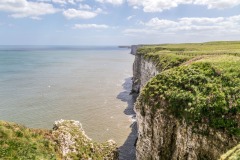 Bempton Cliffs