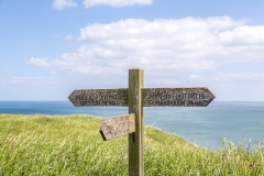Bempton Cliffs