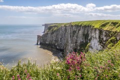 Bempton Cliffs, Scale Nab