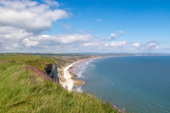 Filey Bay from  Bempton Cliffs