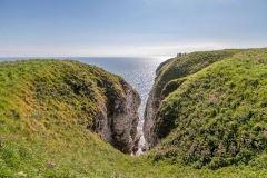 Bempton Cliffs