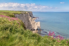 Bempton Cliffs
