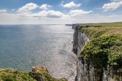 Bempton Cliffs walk