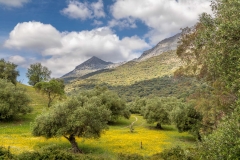 Jimera de Libar