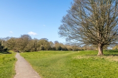 Beverley Westwood