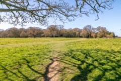 Beverley Westwood