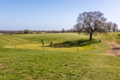 Beverley Westwood