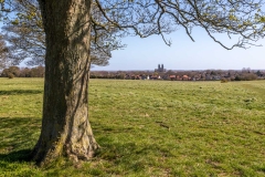 Beverley Minster