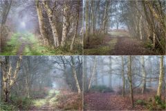 North Cliffe Wood