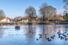 Bishop Burton pond