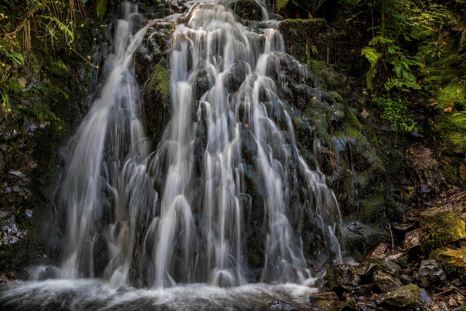 Waterfalls in Tom Gill