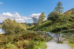 Tarn Hows path