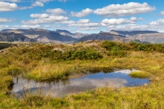 Langdale view