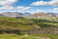 Black Fell walk