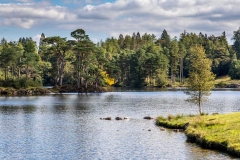 Tarn Hows