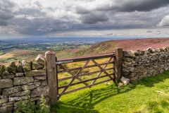 Black Hambleton walk