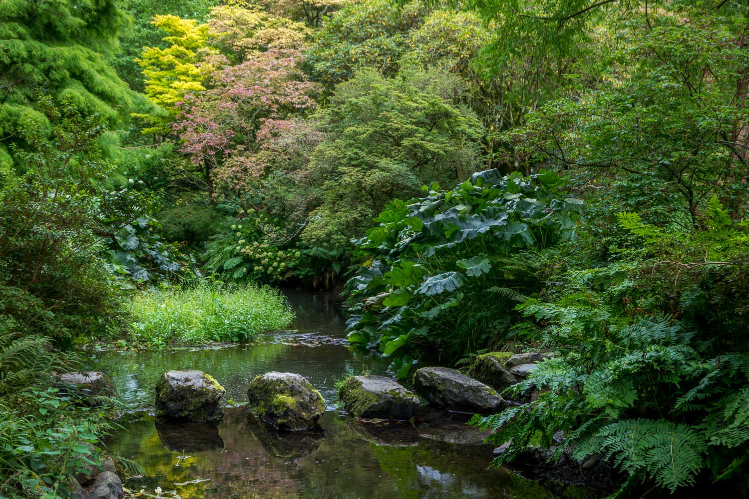 Arboretum, Bodnant Garden
