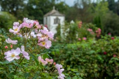 Bodnant Garden