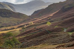 Borrowdale