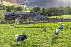 Bowfell walk