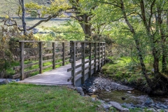 Liza Beck bridge