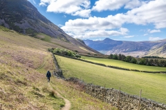 Lorton Vale walk