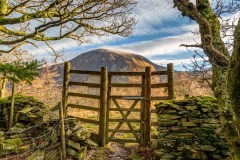Brackenthwaite Hows walk, Lanthwaite Hill walk